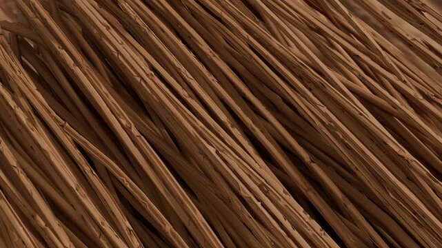 Animation showing an extreme close up of wood fibers in a wooden board