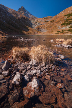 View of the serene tarn reflects the majestic peak under a crisp blue sky, with rocks and grass in the foreground, Jamnik, Zilina Region, Slovakia.