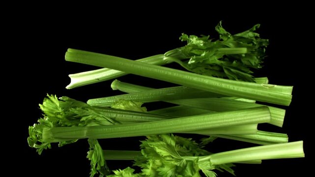 Fresh celery soars up on a black background. Filmed on a high-speed camera at 1000 fps. High quality FullHD footage