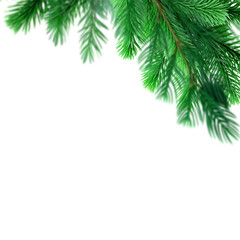 Obraz premium Festive pine boughs create a cheerful holiday spirit, perfect for winter designs, seasonal greetings, and adding a touch of nature to your projects