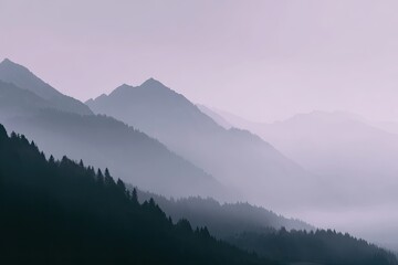 Obraz premium Layered mountain range with pine forest in thick fog. Natural scenic landscape with misty atmosphere for background or wallpaper.