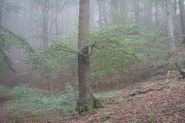 Region Teutoburger Wald