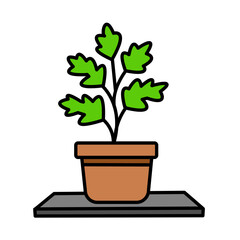 Serrated Green Leaves Growing Strong