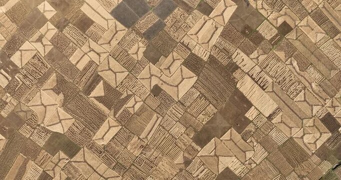 Aerial view of agricultural land, Bangladesh.