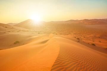 across Oman's Empty Quarter desert. exhilarating offroad desert safari.