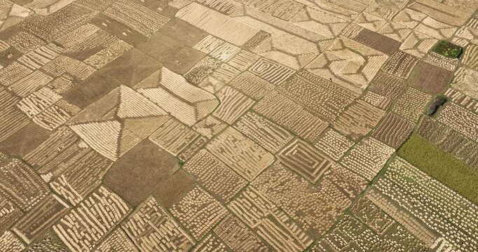 Aerial view of agricultural fields, Bangladesh.