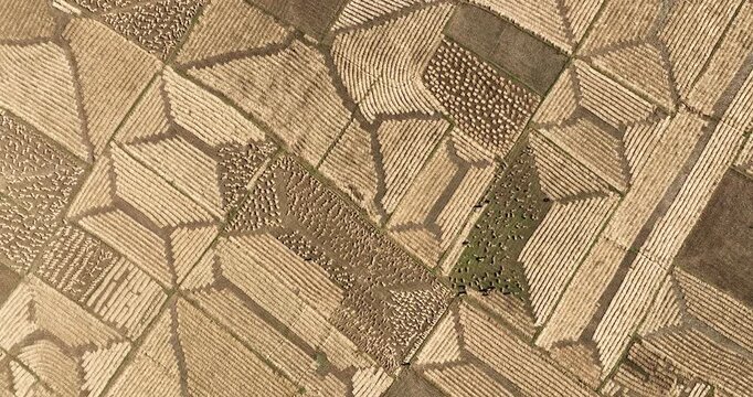 Aerial view of geometric patterns of agricultural fields create a textured tapestry of earthy tones, showcasing meticulous cultivation, Location Omitted.
