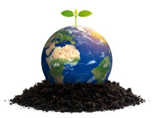Earth globe sits atop soil with a small sprout growing from it, symbolic of environmental sustainability