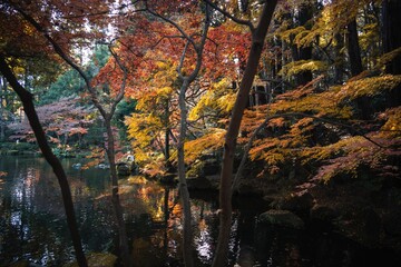 千葉県成田市　紅葉の成田山新勝寺
