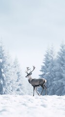 Obraz premium Deer running wildlife forest animal.