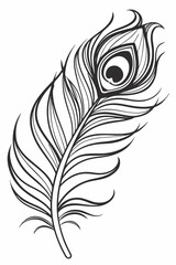 Obraz premium a black-and-white, highly stylized line art illustration of a single peacock feather.