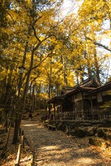 千葉県成田市　紅葉の成田山新勝寺
