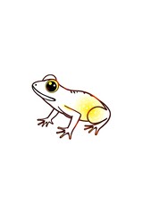 Watercolor illustration of a frog isolated on white background