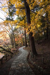 千葉県成田市　紅葉の成田山新勝寺
