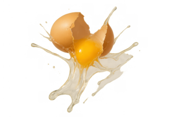 Breaking brown egg dropping yolk and albumen splashing, raw ingredient for cooking with transparent background