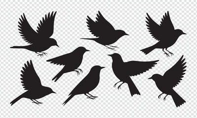 Obraz premium Collection of Bird Silhouettes in Various Poses – Flying and Perched Bird Vector Set