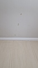 Bathroom ceiling with stains and mold