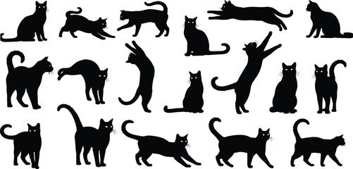 Black cat silhouette collection, feline poses, animal movement, vector illustration, sitting, walking, jumping, stretching, playing, pet behavior, anatomy © Mdjoshel 