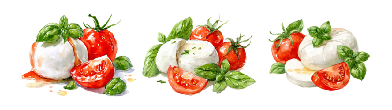 Watercolor set of mozzarella cheese. Mozzarella balls with tomatoes and basil. Ingredients for Italian cuisine, caprese salad etc. Vector illustration.