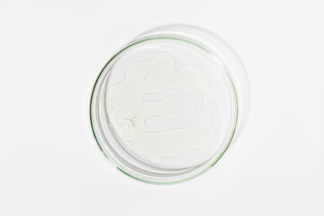 Petri Dish with Liquid on Light Background