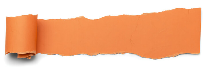 Orange ripped paper banner with curled edge, isolated on white background