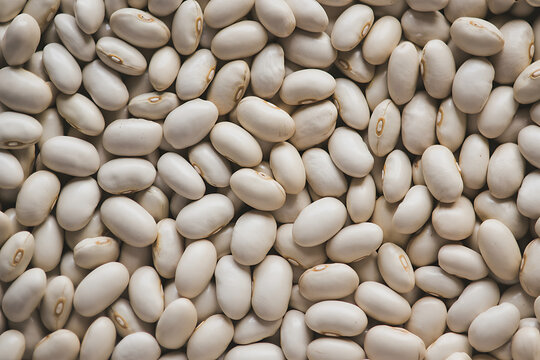 Closeup full frame view of many dried white beans, likely cannellini or navy beans, scattered evenly