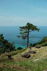 Recreational area with a picnic table and benches on a high coastal cliff, surrounded by pine trees and bushes, overlooking the ocean. Located in the Asturias region of Northern Spain along a coastal 