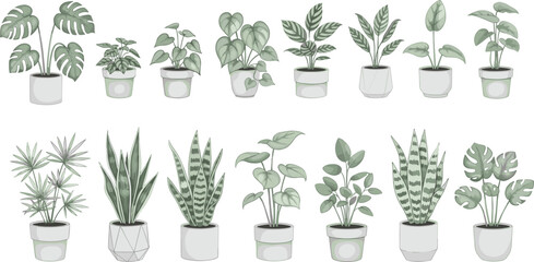 Vector Illustration Set of Potted Houseplants in Pots, Including Snake Plants, Monstera, and Calathea, Representing Home Decor and Botany.