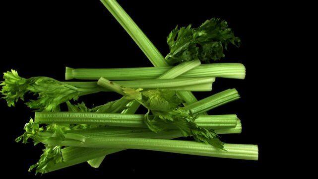 Fresh celery soars up on a black background. Filmed on a high-speed camera at 1000 fps. High quality FullHD footage