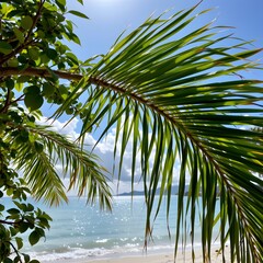 Fototapeta premium Palm Tree Fronds Against a Sparkling Ocean View Under a Clear Blue Sky on a Tropical Beach
