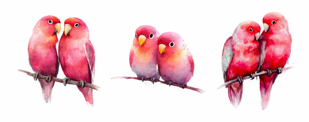 Watercolor illustration of cute pink and red lovebirds sitting on branches. Romantic couple parrots isolated on white background. Hand-painted tropical birds art, Valentine’s day design, love concept.