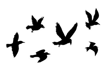 Fototapeta premium Flying flock of birds silhouette, Simple swallows in flight, crows in the sky. Group of birds border.