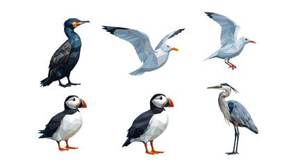 Obraz premium Geometric bird collection featuring low poly sea birds in various poses