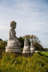 Three Buddha statues in meditative pose surrounded by garden greenery