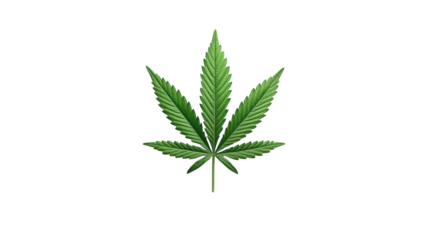 Cannabis Leaf on Transparent Background