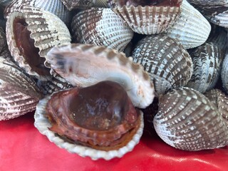 seashells on the beach, cockle, food
