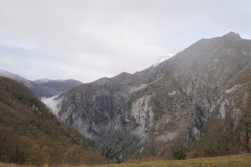 Limestone Peaks Overlook Serene Pine Forest, Cantabria - Panoramic view of snow-covered mountains featuring dense forest, green trees, and brown shrubs in La Hermida, Cantabria, Spain.