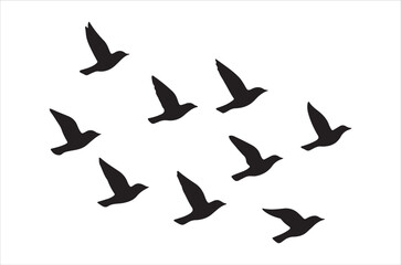 Fototapeta premium A flock of black birds flying in a scattered formation on white