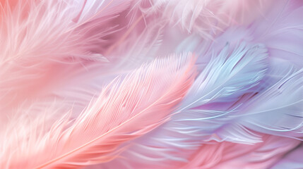 Close-up wallpaper featuring a delicate feather pattern in soft shades of white, pink, purple, green, and blue, creating a gentle and elegant visual harmony.
