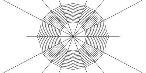 Obraz premium Intricate black and white spider web illustration, isolated on white background