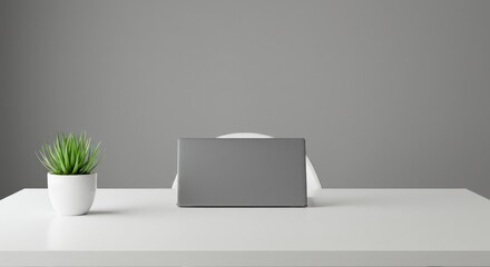 Minimalist Office Desk with Laptop and Green Plant in White Pot