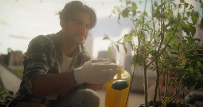 Handsome Man in Flannel Shirt and Gloves Carefully Waters and Inspects Tomato Plants on a Sunlit Rooftop Garden, Eco Urban Farming Moments With a Panoramic Modern City Skyline