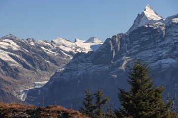 Wanderregion Berner Oberland Blick Vom