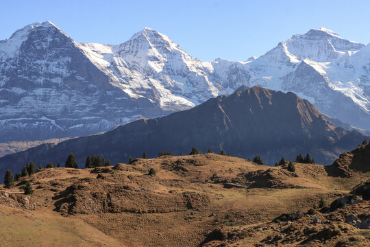 Schweizer "Dreigestirn" Eiger-M&ouml;nch-Jungfrau; Blick von der Schynige Platte