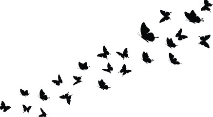 Obraz premium Black butterfly swarm silhouette ascending on white background for design