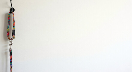 犬のリード・散歩の準備をイメージしたフレーム素材（コピースペース・余白・背景・壁紙）