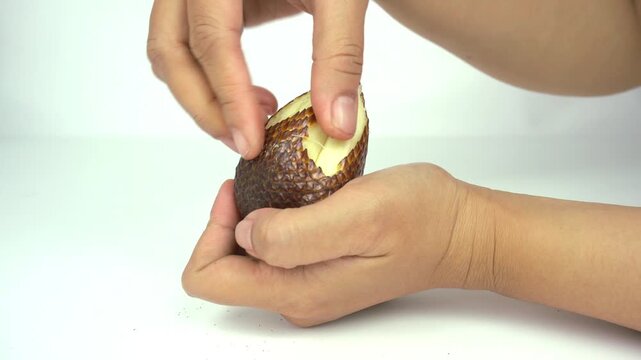 An Asian woman is peeling the skin of a snake fruit, also known as bark fruit or salak, with the characteristic skin of the fruit being like snake skin with a few sharp thorns, isolated on a white