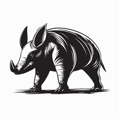 Aardvark Walking Wildlife Stock Illustration On white Background
