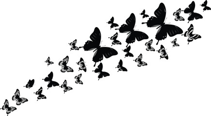 Elegant black butterfly swarm silhouette illustration, flying butterflies pattern, isolated insect group design, decorative vector artwork for nature themed projects, clipart © Mdjoshel 