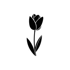 Obraz premium Elegant Tulip Silhouette A Symbol of Spring and Beauty.